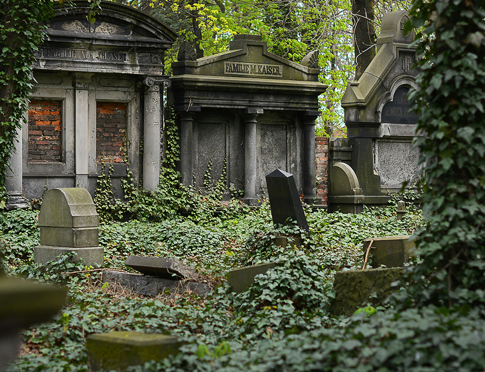 Overgrown graveyard with green moss