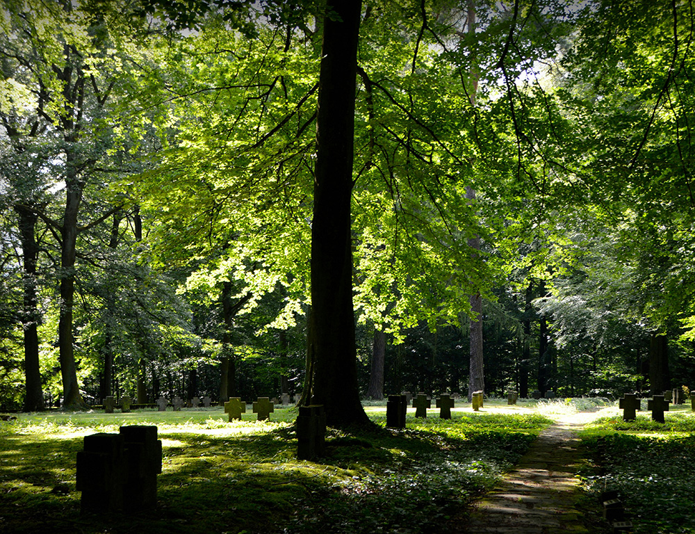 Cemetery with free trees and gravestones